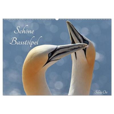 Schöne Basstölpel (Wandkalender 2027 DIN A2 quer), CALVENDO Monatskalender