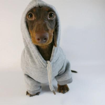 Uplift Essentials Cozy Dachshund & Small Dog Fleece Pullover Sausage Hoodie grey m