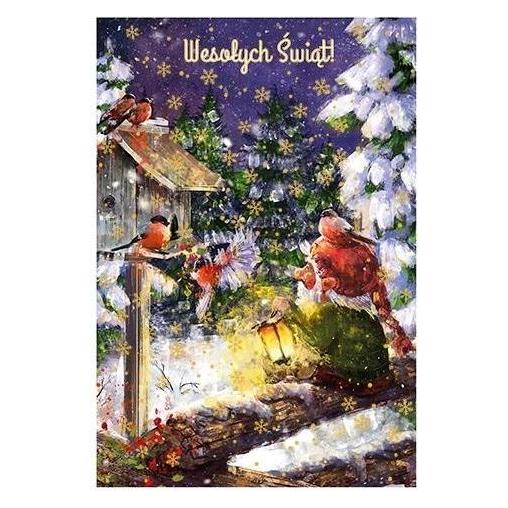 Henry Holt Karte B6 Weihnachtsvogelfutter (41918374)