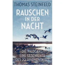 Rauschen in der Nacht, Belletristik von Thomas Steinfeld