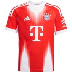 ADIDAS Kinder Trikot FC Bayern München 25/26 Heim, Größe 176 in Rot Rot