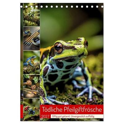 Tödliche Pfeilgiftfrösche (Tischkalender 2027 DIN A5 hoch), CALVENDO Monatskalender