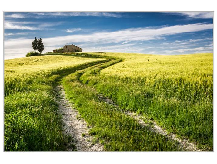 Bild mit Rahmen Feldweg image LAND