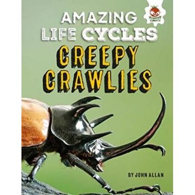 Amazing Life Cycles-Minibeasts, Taschenbuch von John Allan, Hungry Tomato Ltd, 978-1-913077-01-3
