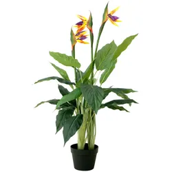 EUROPALMS Strelitzie, Kunstpflanze, 90cm