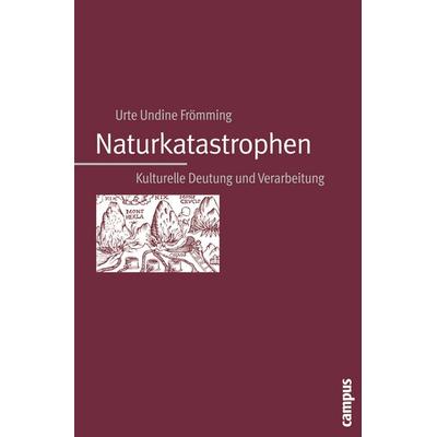 Naturkatastrophen, Taschenbuch von Urte Undine Frömming, Campus, 978-3-593-38004-9