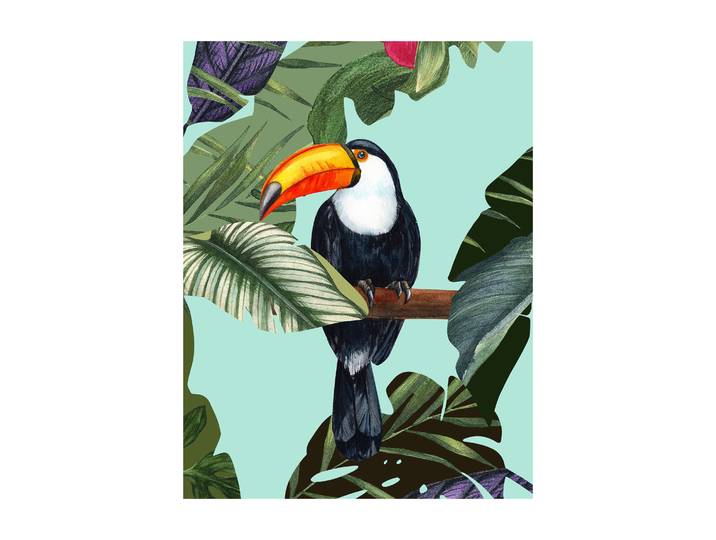 Bild KOMAR Toco Toucan , bunt (farbe bild(er): bunt), B:40cm H:50cm, Holz, Papier, Bilder, Bild, Wandbild zur Dekoration - ohne Rahmen