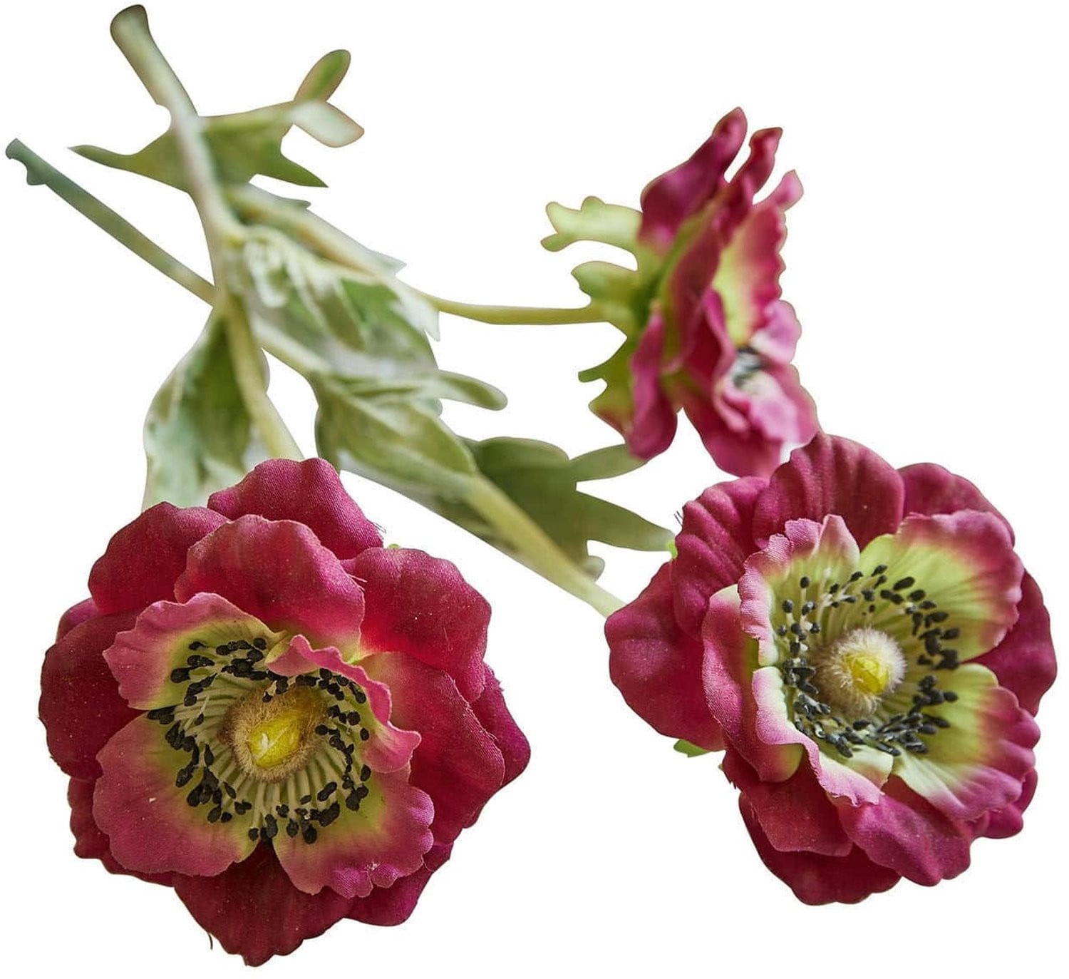 LOBERON Inara Sierbloemen set van 3 paars