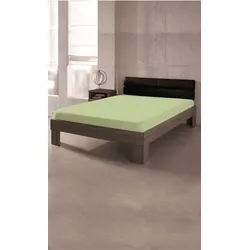 DREAMTEX Premium Jersey Spannbetttuch 95/5, Farbe grün