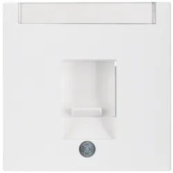 Berker 11701909 Zentralstück m Staubs u BF S.1/B.3/7 pw