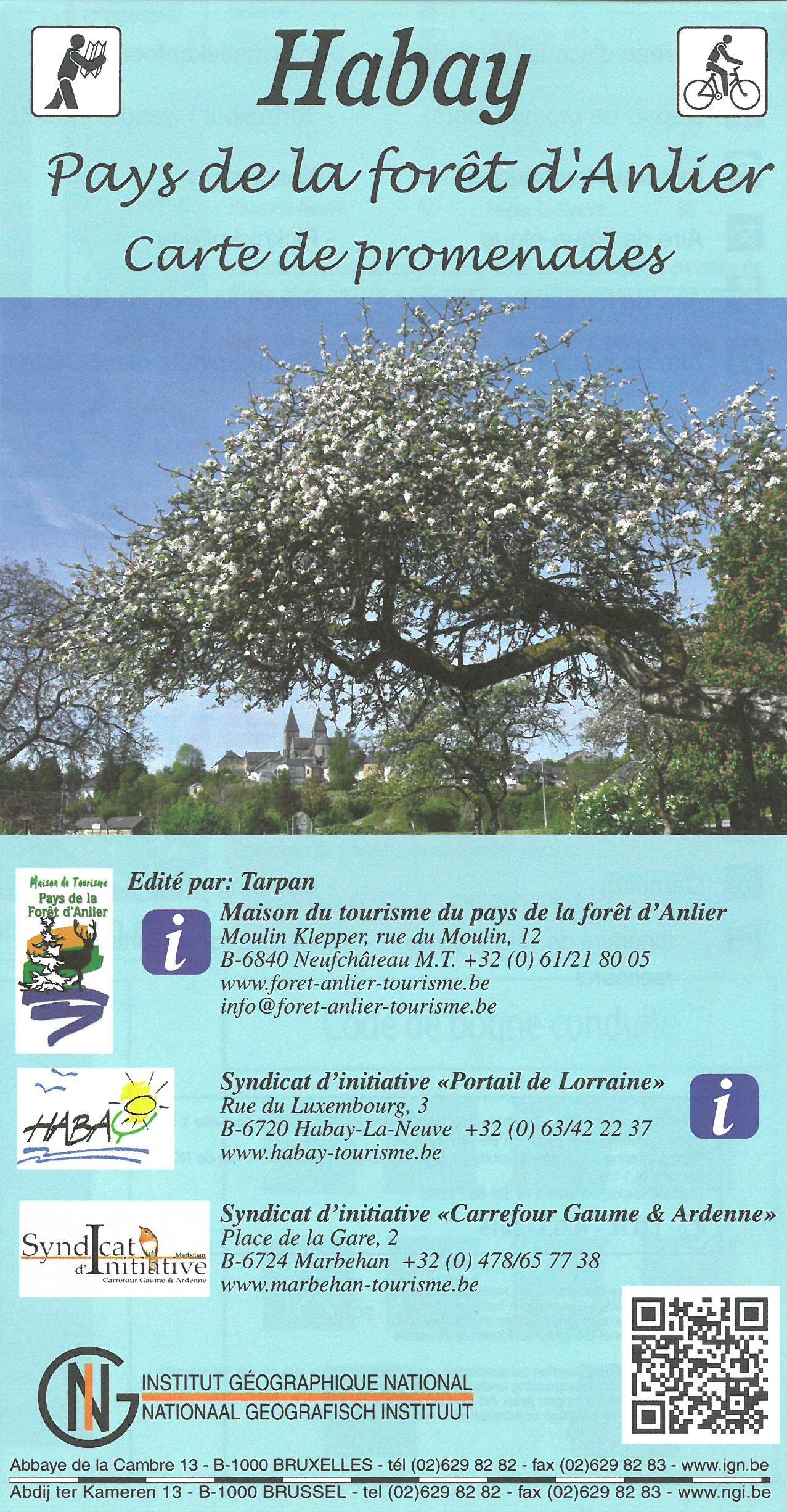 IGN Belgique Carte de promenades - Habay (Belgique)   NGI