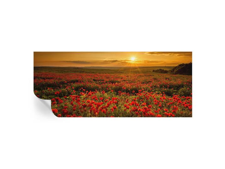 Wallfluent Fototapete 250x104 cm - Mohnfeld, Rot, 250x104 cm, Tapeten & Wandverkleidungen, Fototapeten