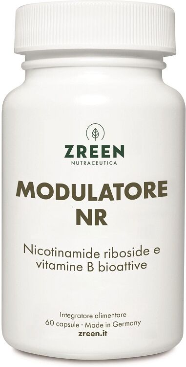 NORSAN Srl ZREEN MODULATORE NR 60CPS