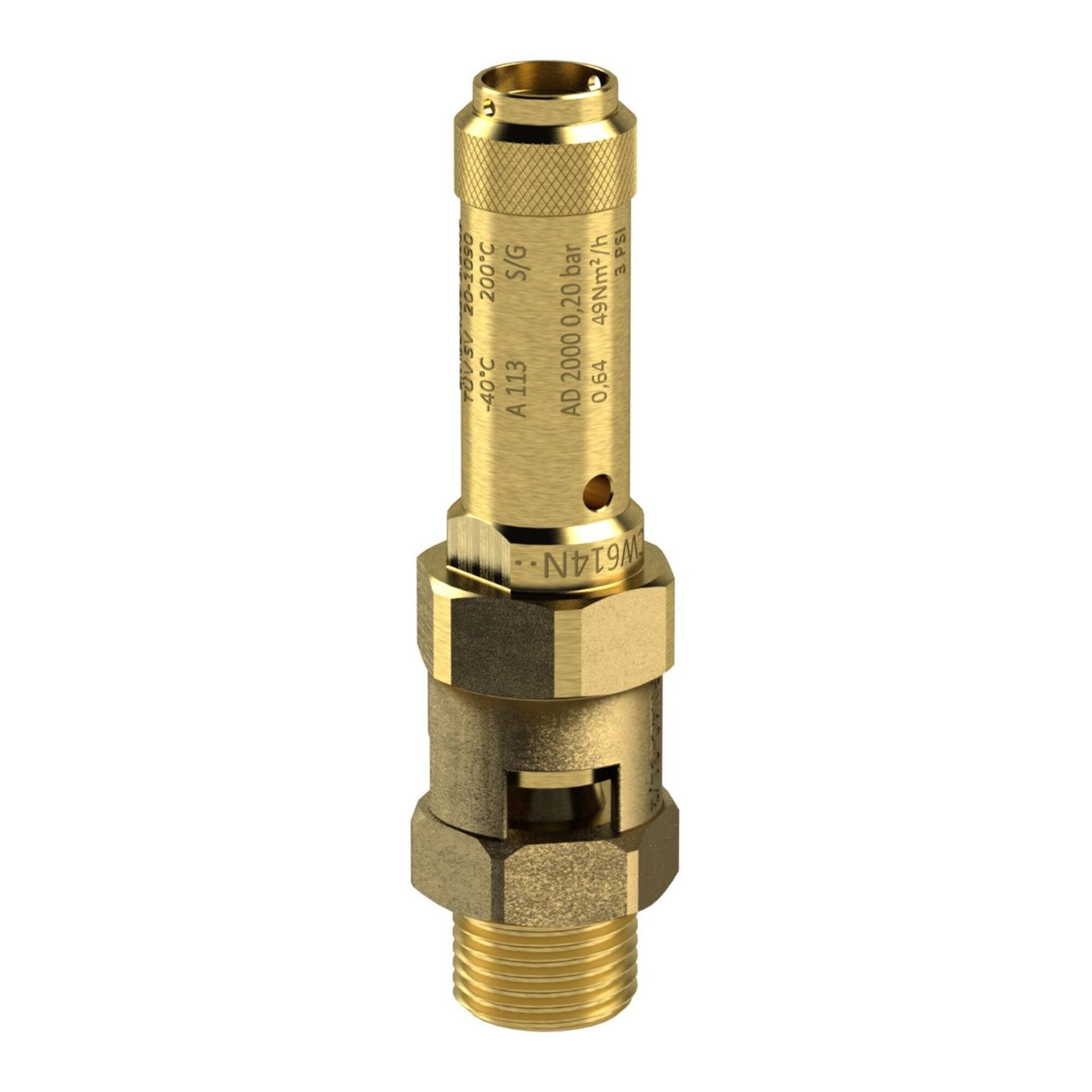 Riegler Sicherheitsventil, Messing, G 1, Ansprechdruck 12 bar (229.03-12,0)