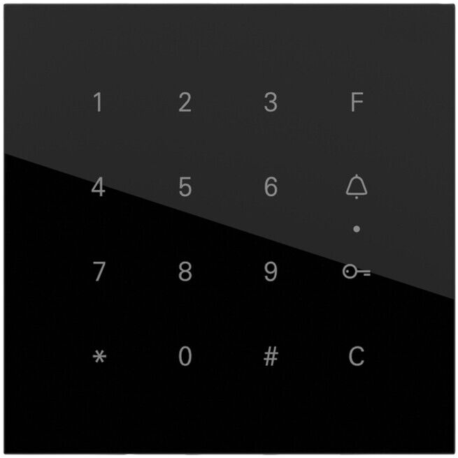 Gira Module clavier codé Keyless en noir 5550000 (5550000)
