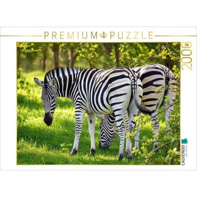 CALVENDO Puzzle Zebras im Bandia Reservat - Wildtiere im Senegal erleben | 2000 Teile Lege-Größe 90 × 67 cm Foto-Puzzle für glückliche Stunden