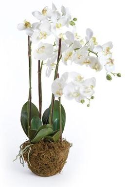 Napa Home and Garden Hand-crafted Phalaenopsis Orchid 30 inch Tall Drop-In