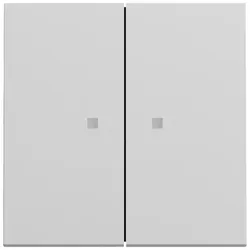 Gira Wippe 2f Kontrollf. System 363176