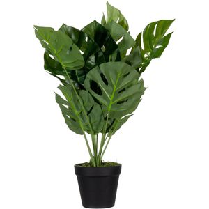 meet-powered-by-PAPERFLOW Kunstpflanze Monstera, im Topf, Höhe 45 cm