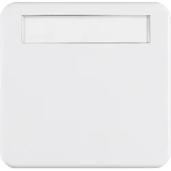 Berker Wippe pws/gl 162909