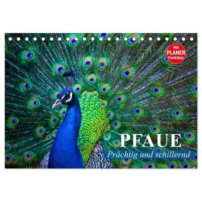 Pfaue. Prächtig und schillernd (Tischkalender 2027 DIN A5 quer), CALVENDO Monatskalender
