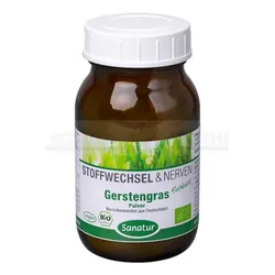 GERSTENGRAS BIO Pulver 90 g