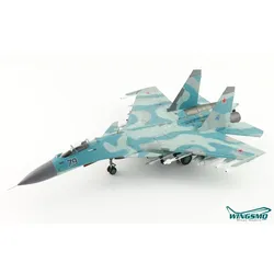 Hobby Master Russian Air Force Sukhoi Su-27K Sea Flanker Blue 79 HA6051