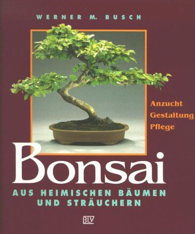 Busch, Werner M. - Bonsai aus heimischen Bäumen und Sträuchern. Anzucht, Gestaltung, Pflege - Preis vom 14.10.2026 23:07:16 h