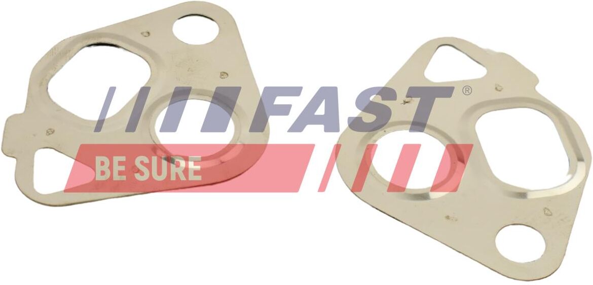 Fast Dichtungssatz, Agr-System Ft50607 Für Vw