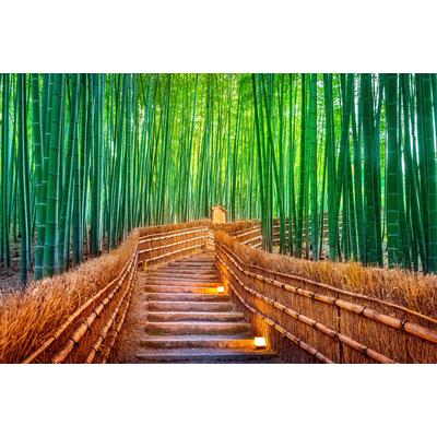 Fototapete PAPERMOON "BAMBUS-WALD-KYOTO", bunt, B:3,5m L:2,6m, Vlies, Tapeten