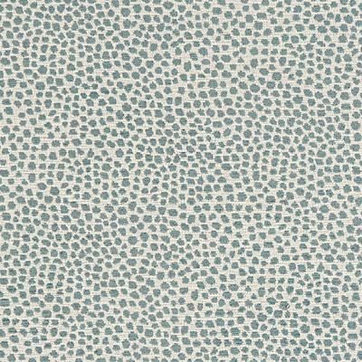 Tully Spa Fabric by the Yard - Ballard Designs