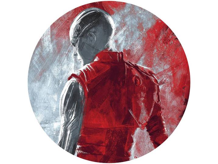 FOTOTAPETE DD1-053 AVENGERS PAINTING