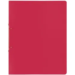 Baier & Schneider, Ordner, Ringbuch (1 Stk.)