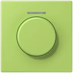 Jung Abdeckung mit Lichtleiter LC 1940 KO5 221