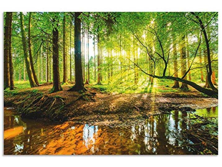 ARTland Wanddeko Wandbild Alu Verbundplatte für Innen & Outdoor Bild Wald Natur Landschaft Bäume Bach Sonne Frühling T9IO