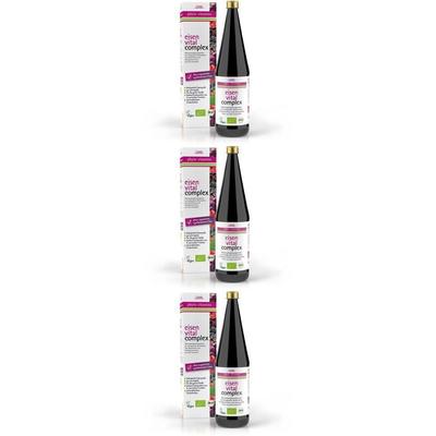 GSE Eisen Vital Complex Bio Flüssigkeit z.Einn. 3x 3x330 ml zum Einnehmen