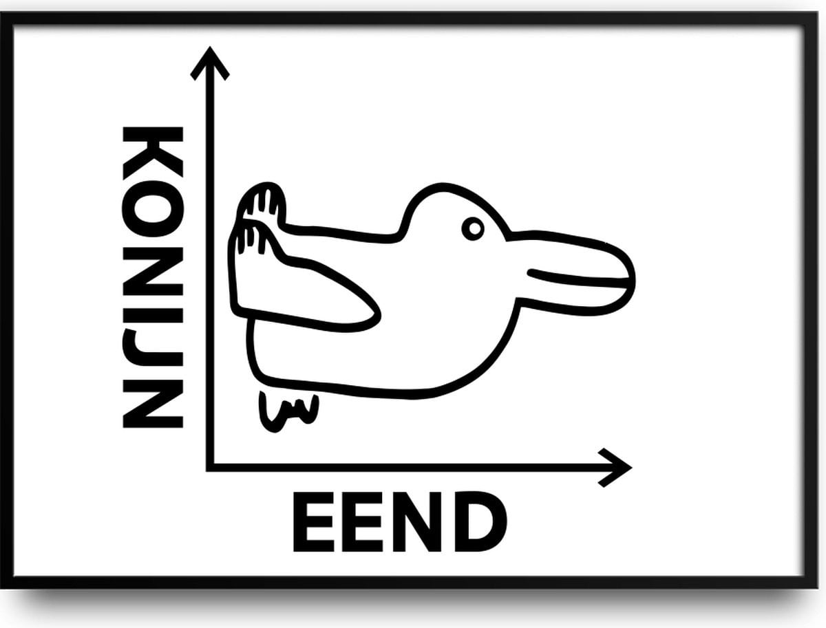 Grappige Konijn Eend Wiskunde Poster met Glazen Fotolijst en Ophangsysteem