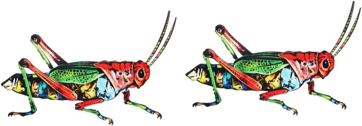 Wanddecoratie Insecten IJzeren Sculptuur Rood 20,5 x 9,5 cm