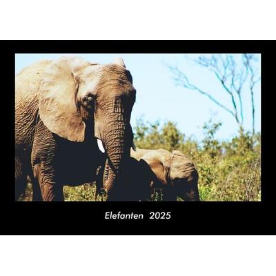 Elefanten 2025 Fotokalender DIN A3