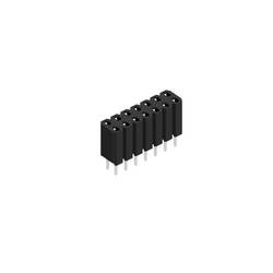 Fischer Elektronik Buchsenleiste (Standard) Anzahl Reihen: 2 10026339 10 St.