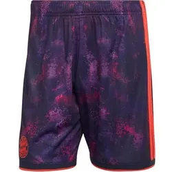 ADIDAS Herren Teamhose FC Bayern 26/27 Third, Größe XL in Bunt Bunt