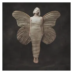 Vertigo Berlin, Schallplatten, All My Demons Greeting Me As A Friend (LP) (Aurora)