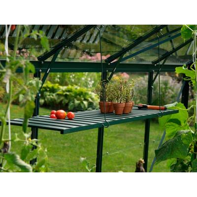Wandregal VITAVIA, grün, B:120cm T:31cm, Aluminium, Regale, Wandregal, grün, BxT: 120x31 cm