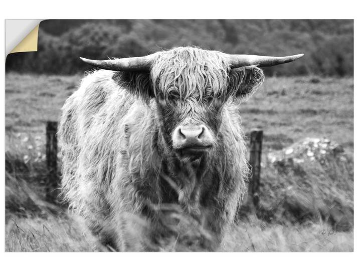 Wandbild ARTLAND Happy Highland , farbe bild(er): schwarz, B:90cm H:60cm, Bilder, Wandbild, als Alubild, Leinwandbild, Poster, Wandaufkleber in verschied. Grössen