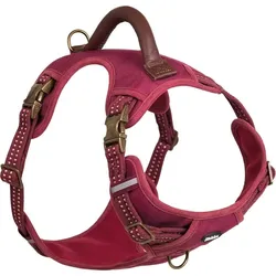 Nobby Sporty (L, Hund, Spazieren), Halsband + Leine