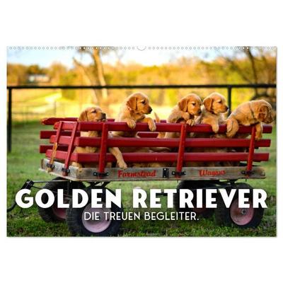 Golden Retriever - Die treuen Begleiter. (Wandkalender 2027 DIN A2 quer), CALVENDO Monatskalender