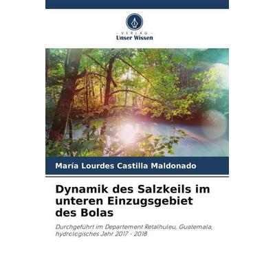 Dynamik des Salzkeils im unteren Einzugsgebiet des Bolas, Taschenbuch von María Lourdes Castilla Maldonado, Verlag Unser Wissen, 978-620-6-46775-5