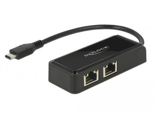 Delock USB 2.0 Adapter [1x USB-C Stecker - 1x RJ45-Buchse] 63927 0.2m