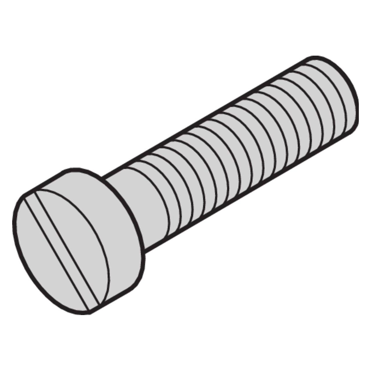 Schroff Zylinderkopfschraube mit Schlitz - ZYL.SCHRAUB.M2,5X16/84 100ST (21100150)