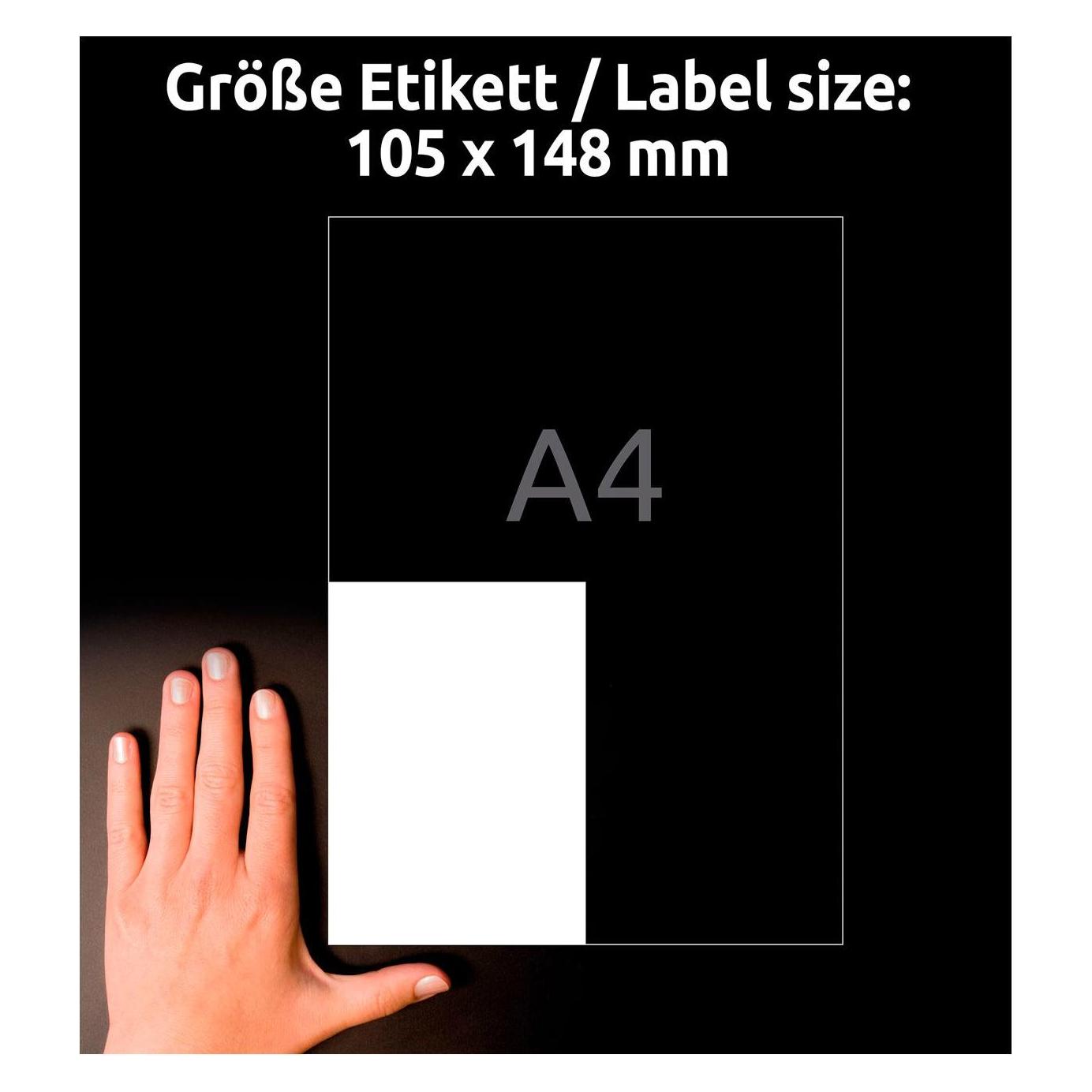 Avery Universal-Etiketten (3483-200)